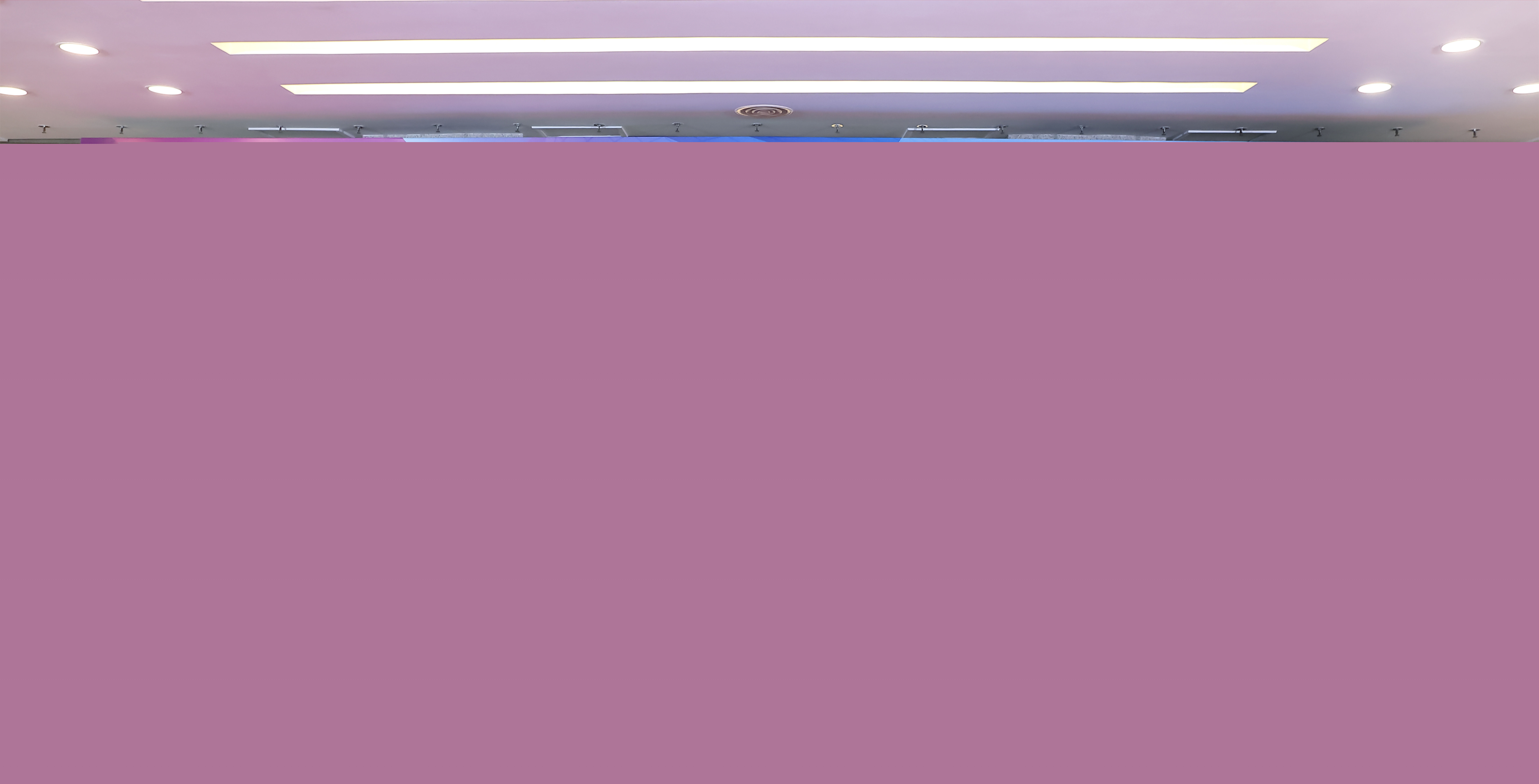 20231113-治理論壇-供圖-公管.jpg