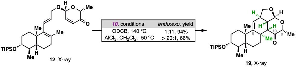 20250211-JACS-李超-1.Endo-Selective Diels–Alder反應的探索.jpg
