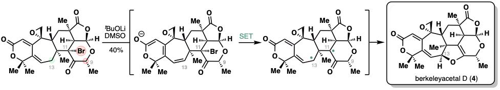 20250211-JACS-李超-4. 單電子轉移（SET）構建二氫呋喃環(huán)的發(fā)現(xiàn).jpg