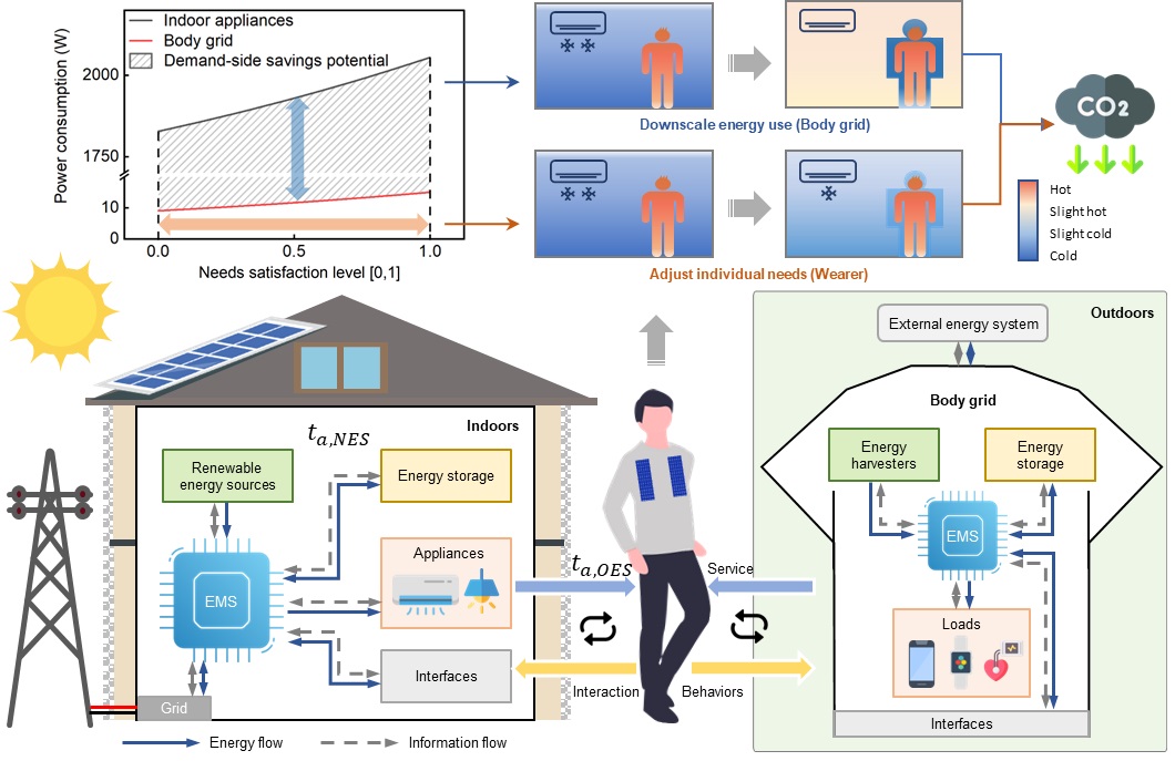 20250227-人體電網(wǎng)框架-科研配圖-深圳國際研究生院.jpg
