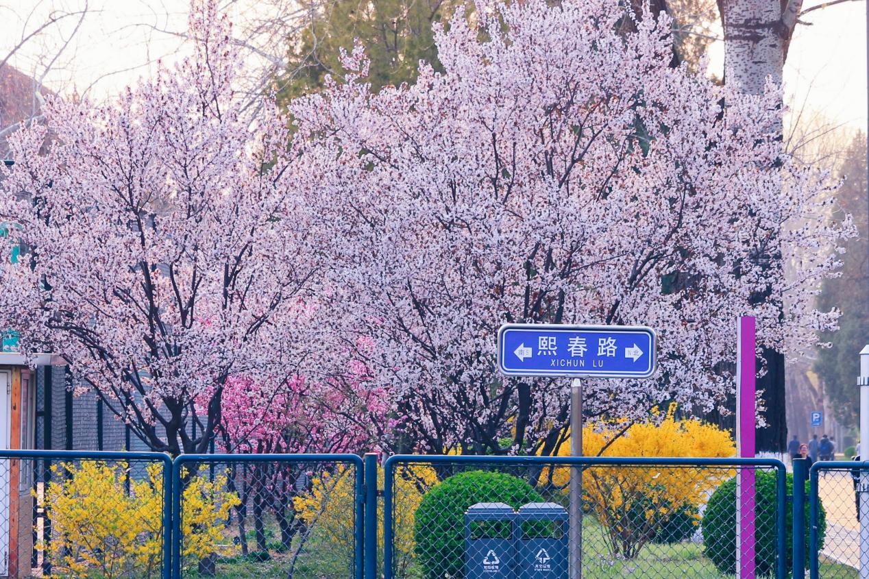 微信圖片_202004242113296