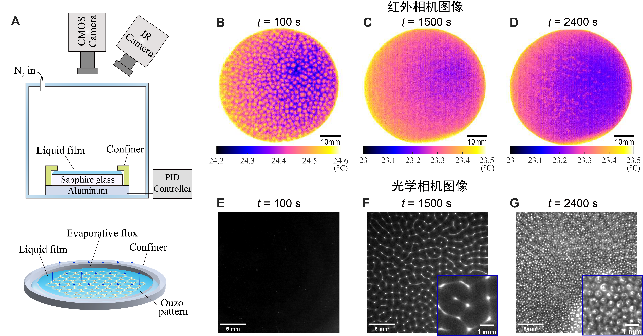 20250213-能動系-孫超課題組科研進(jìn)展-圖片 1.png