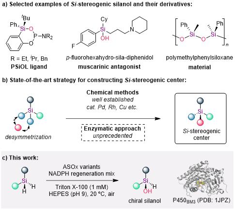 20250407-Angew. Chem. -劉臻-1. 手性硅醇的去對(duì)稱化合成策略.jpg