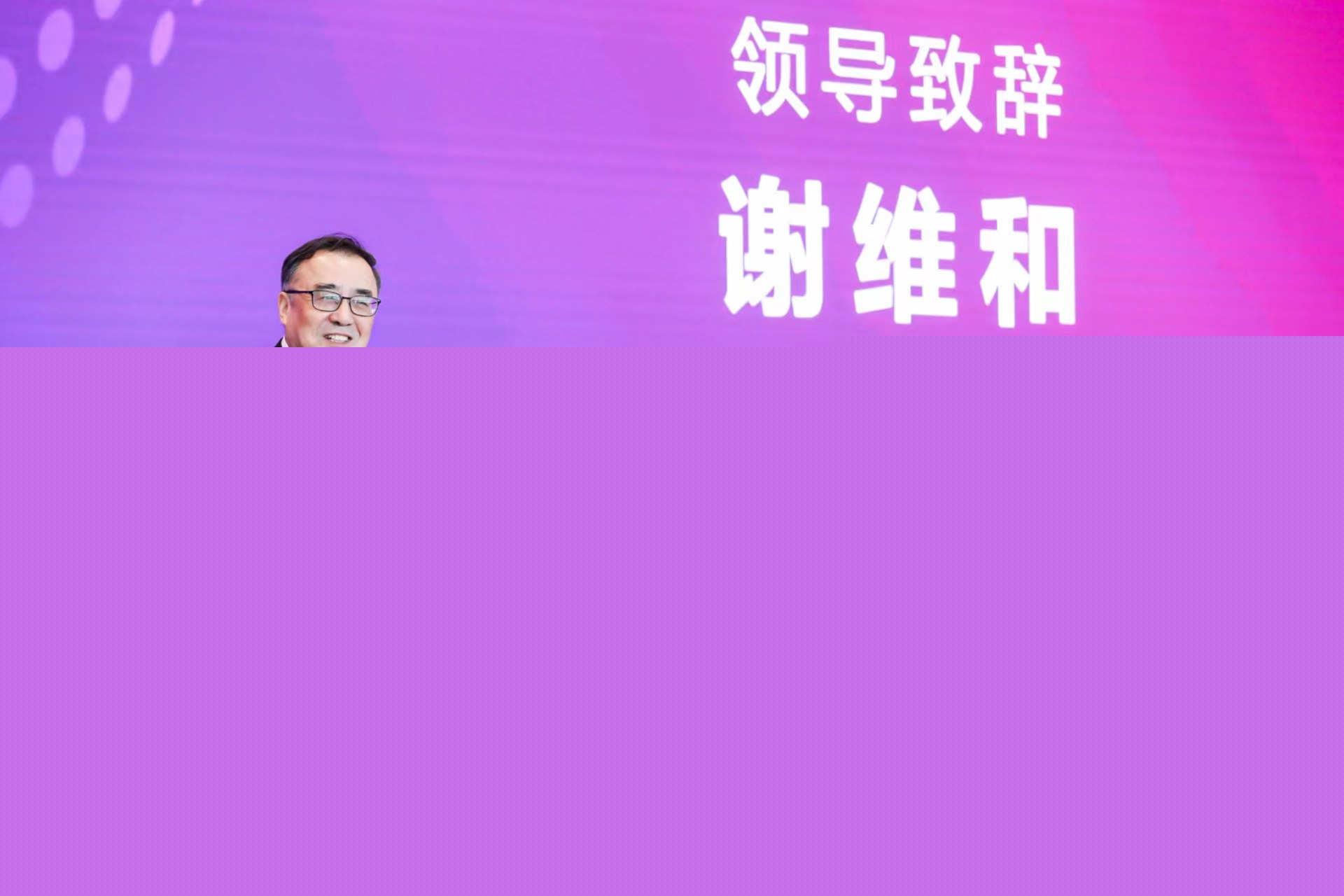 20230430-清華大學(xué)“校長(zhǎng)杯”十周年慶之科教育人研討會(huì)舉辦-經(jīng)管學(xué)院攝影-謝維和發(fā)言.jpg