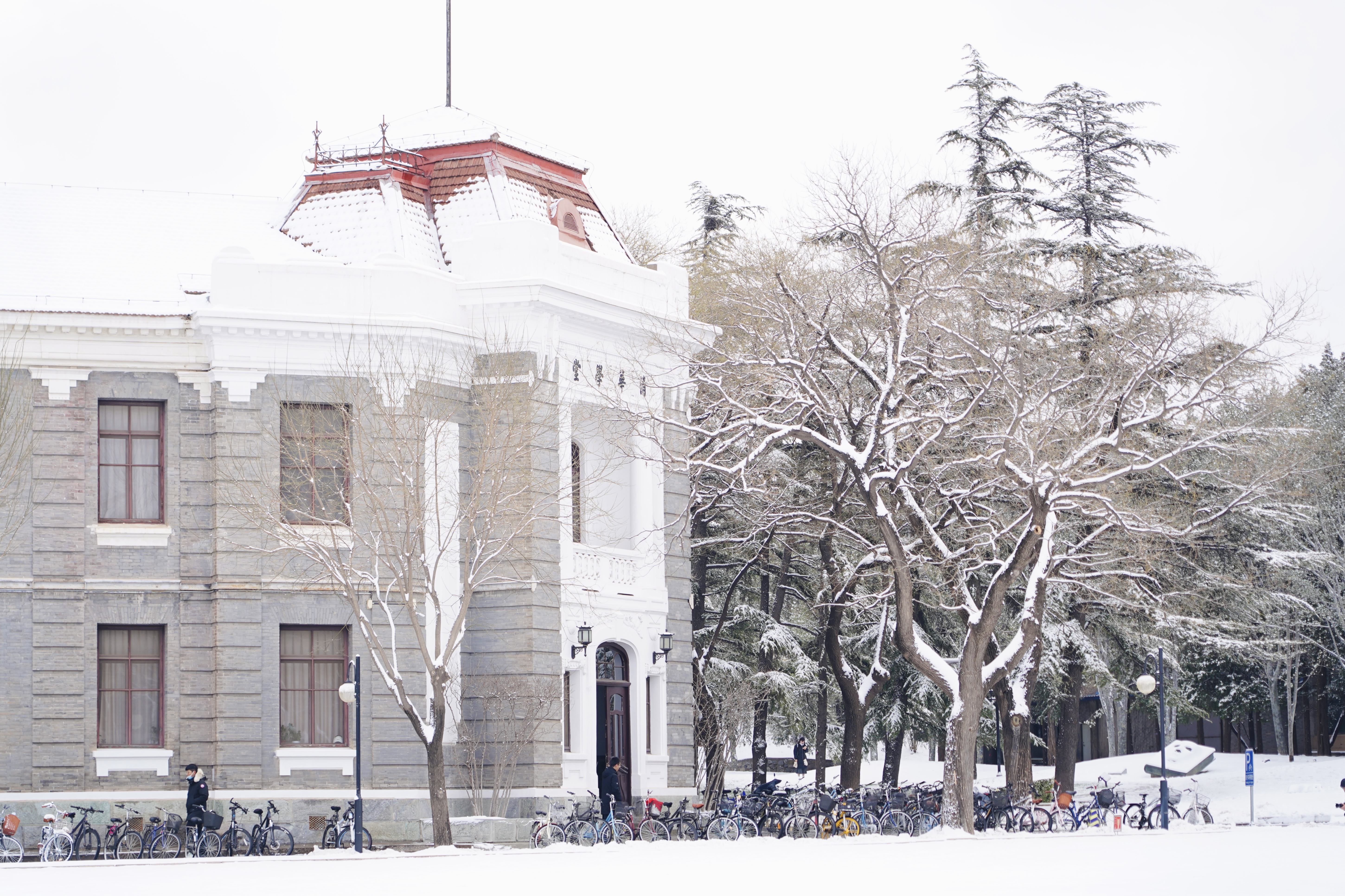 20231211-雪12-清華-供圖.jpg